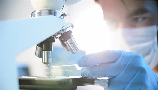 軟件測試報(bào)告介紹